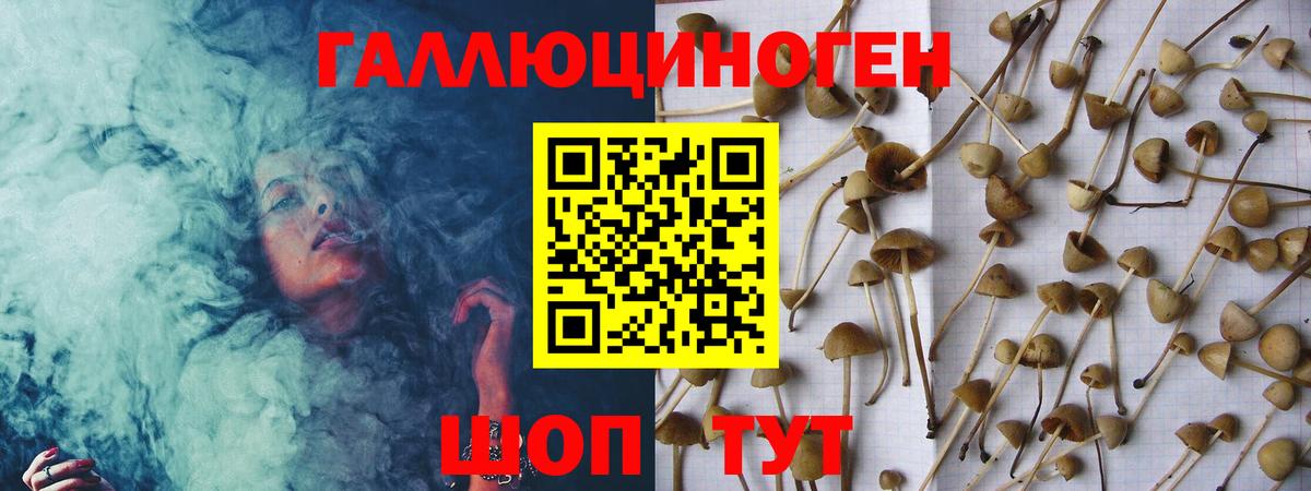 Галлюциногенные грибы Magic Shrooms  Псилоцибиновые грибы прущие грибы  Вход с VPN  Кстово 